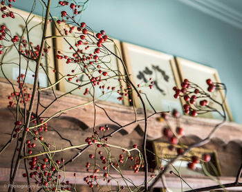 Dijver - Serene Escape In The Heart Of Historic Apartment Brügge